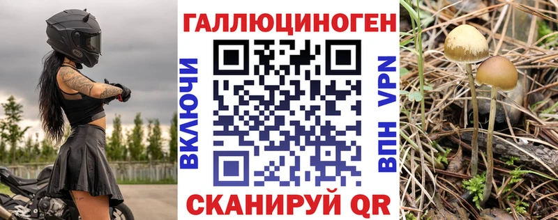 omg как зайти  хочу наркоту  Микунь  Псилоцибиновые грибы MAGIC MUSHROOMS 